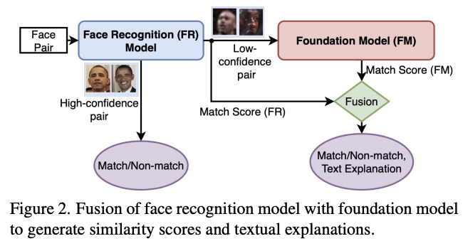 Foundation vs domain-specific face recognition