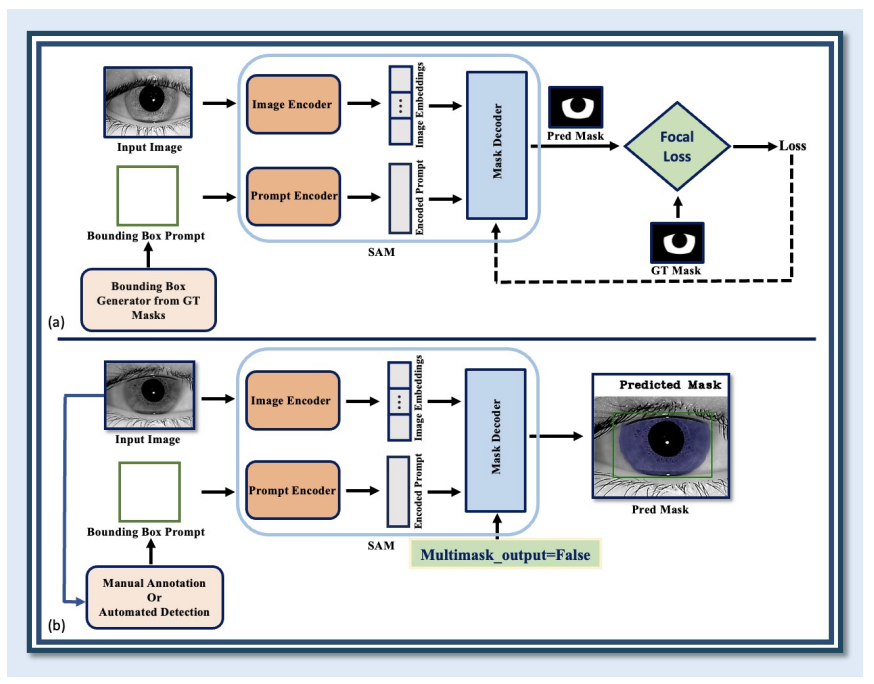 Iris-SAM segmentation pipeline diagram